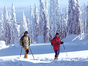 Langlauf in Hauzenberg, Bayerischer Wald